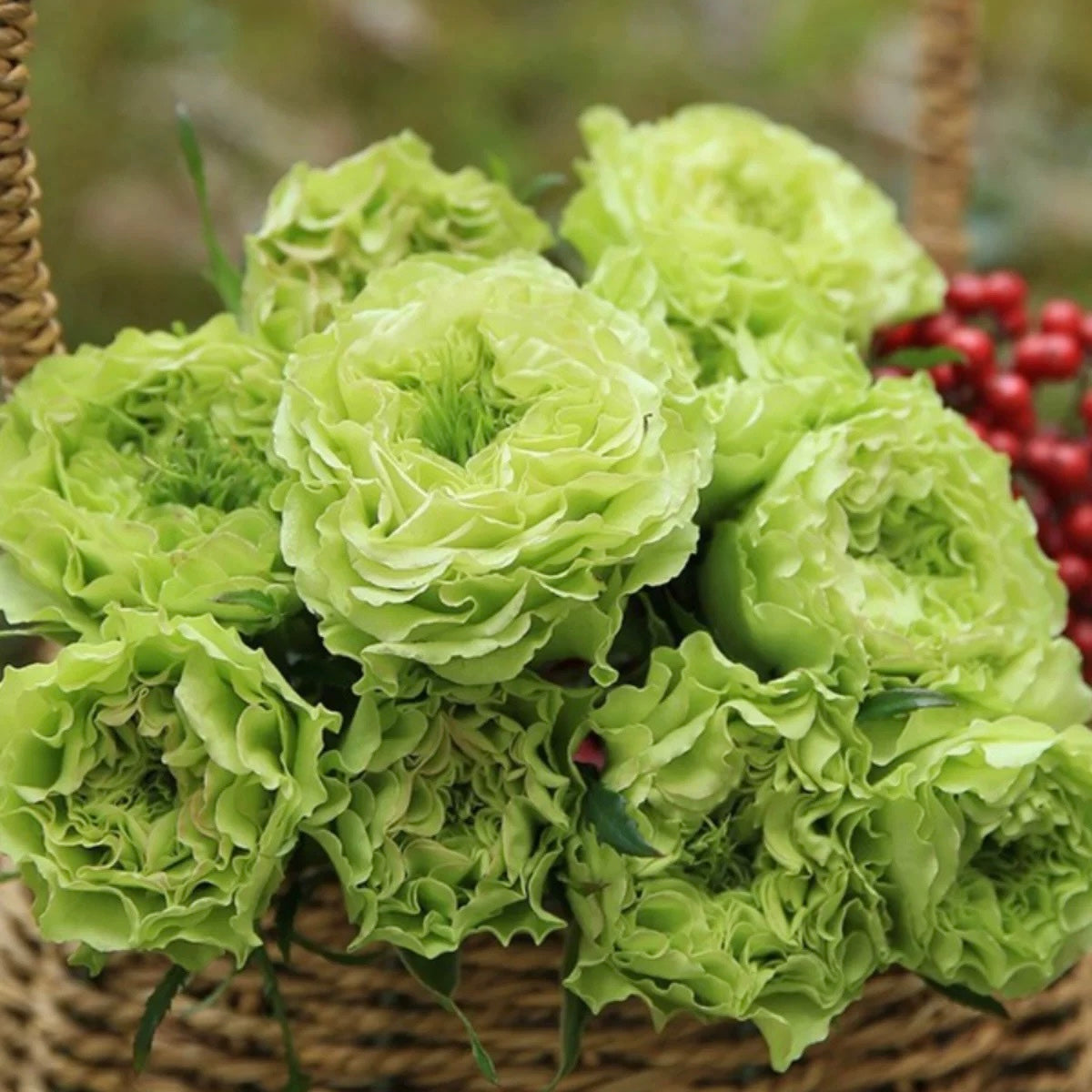 Bouquet of Super Green roses with layered green petals and fresh texture, perfect for floral arrangements.