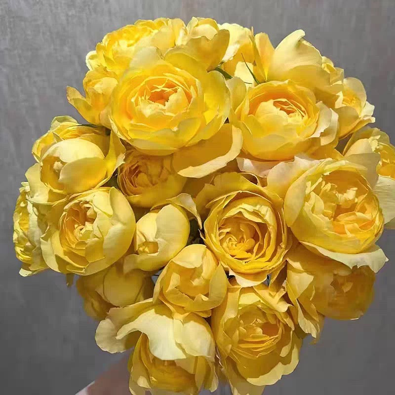 Juicy Lemon Rose