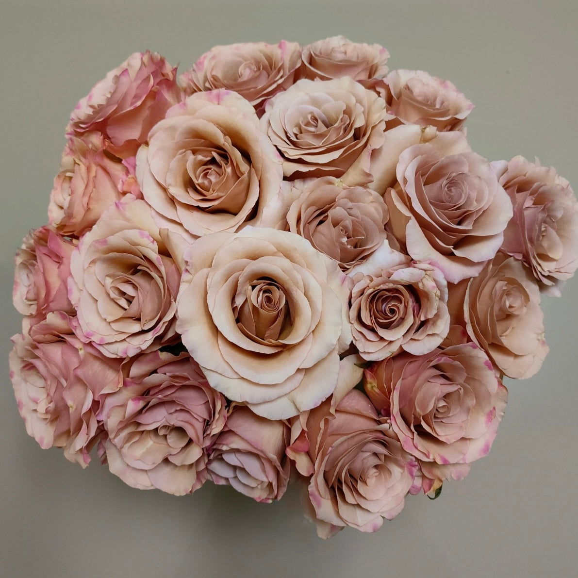 Moab Rose bouquet displaying full, long-lasting flowers perfect for arrangements.