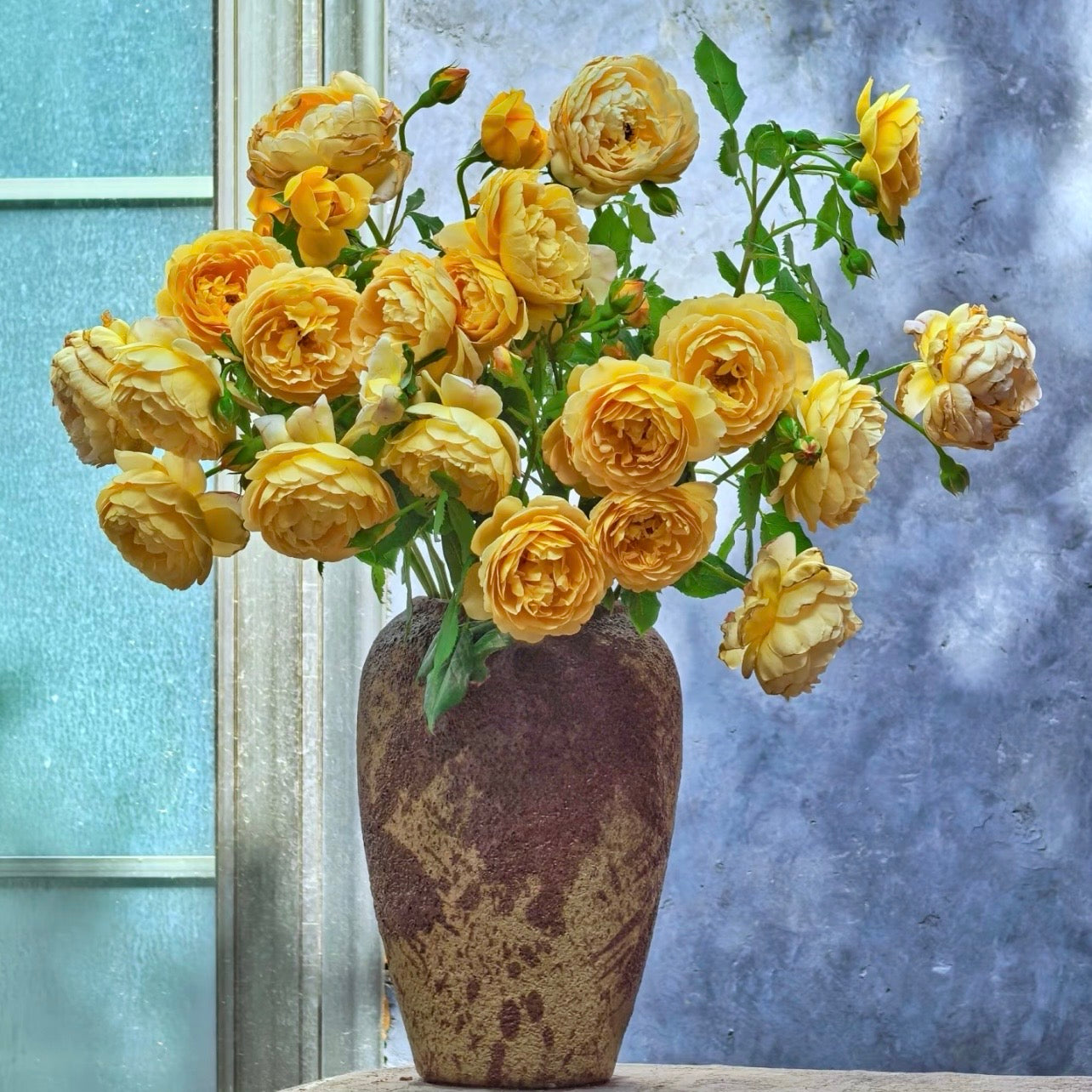 Golden Celebration roses arranged in a vase, showing large golden-yellow blooms with a warm fruity fragrance.