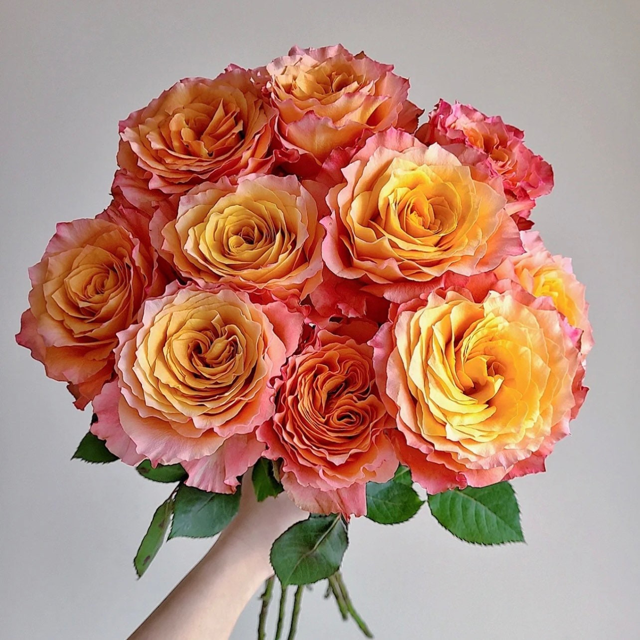 Bouquet of Free Spirit roses featuring radiant orange-apricot blooms with wavy petals, ideal for floral arrangements and gardens.