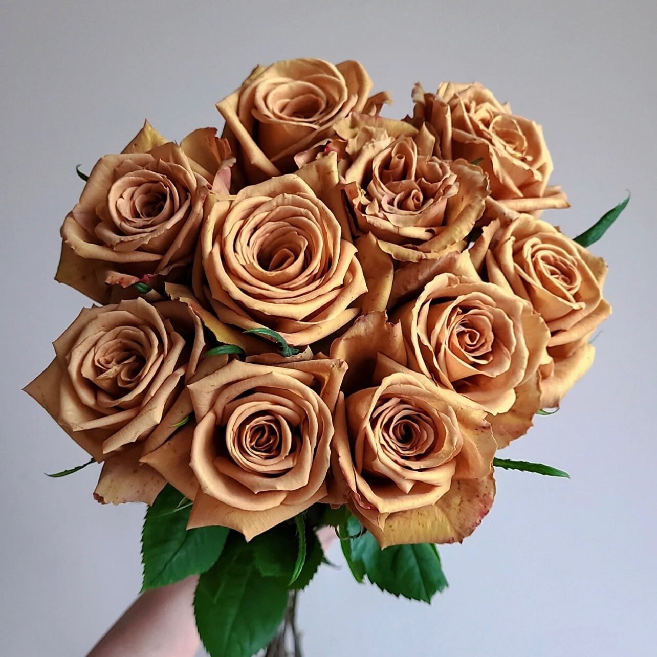 Bouquet of Brown Toffee roses with taupe and caramel petals, velvety blooms creating a warm, elegant vintage tone.