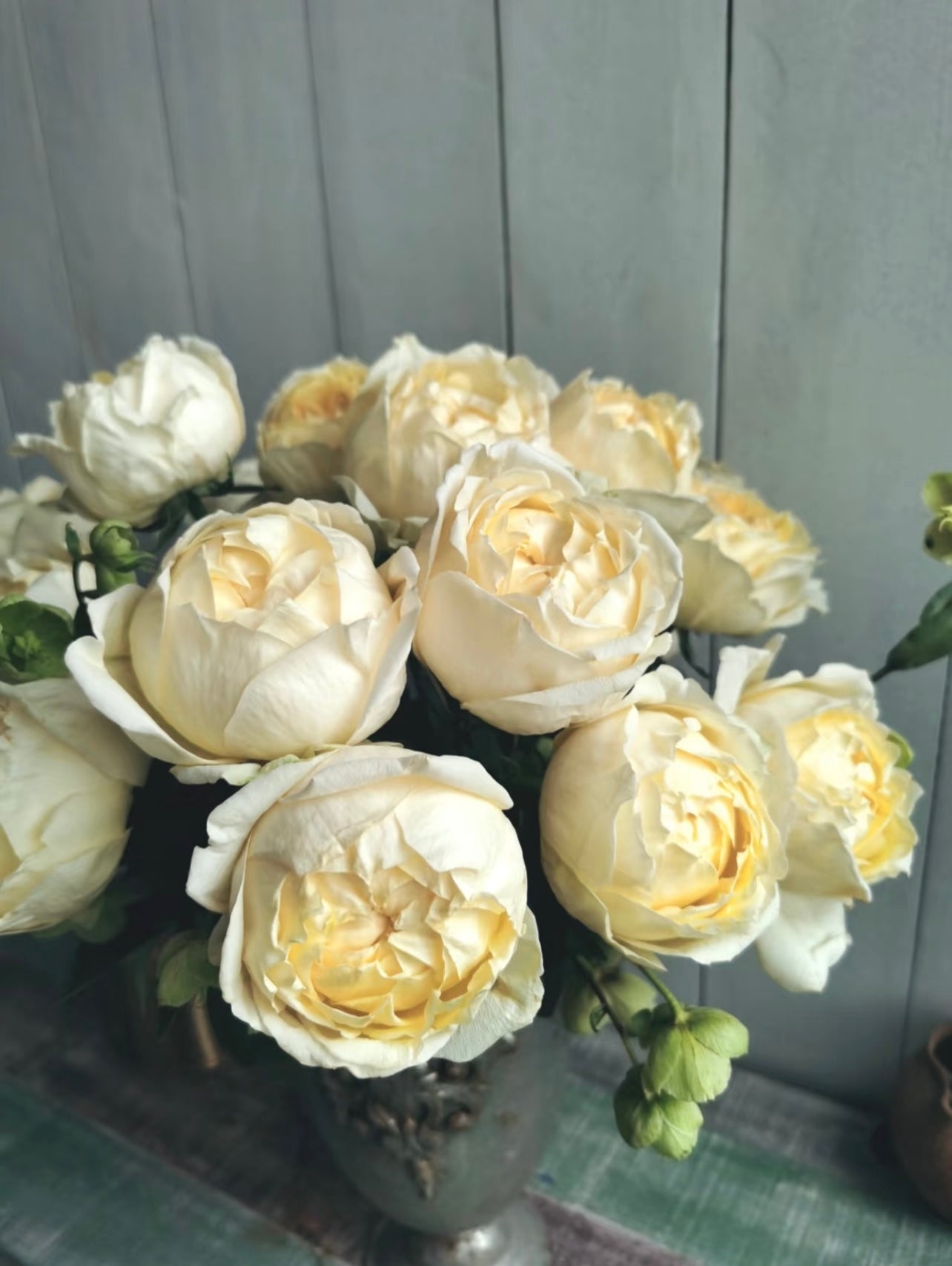 Yves Golden Piaget Rose