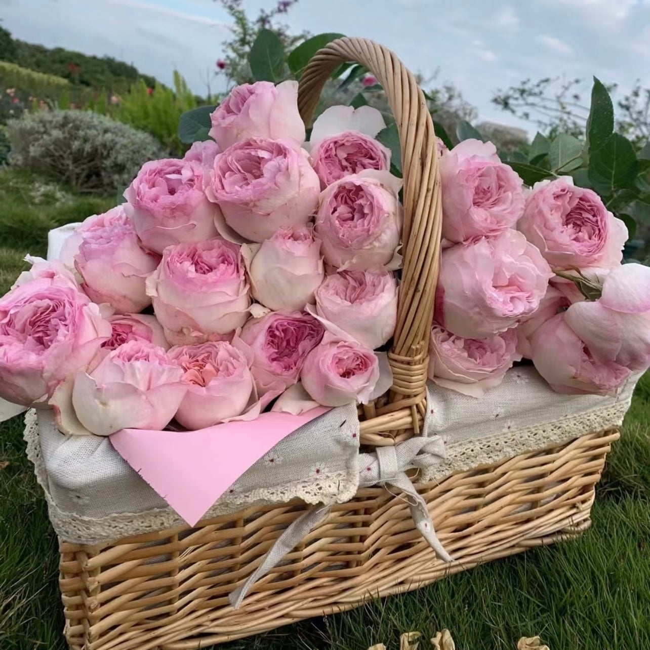 Basket filled with Yves L’esprit de fille roses in creamy blush tones, displaying full cupped-shaped blooms and rich fragrance.