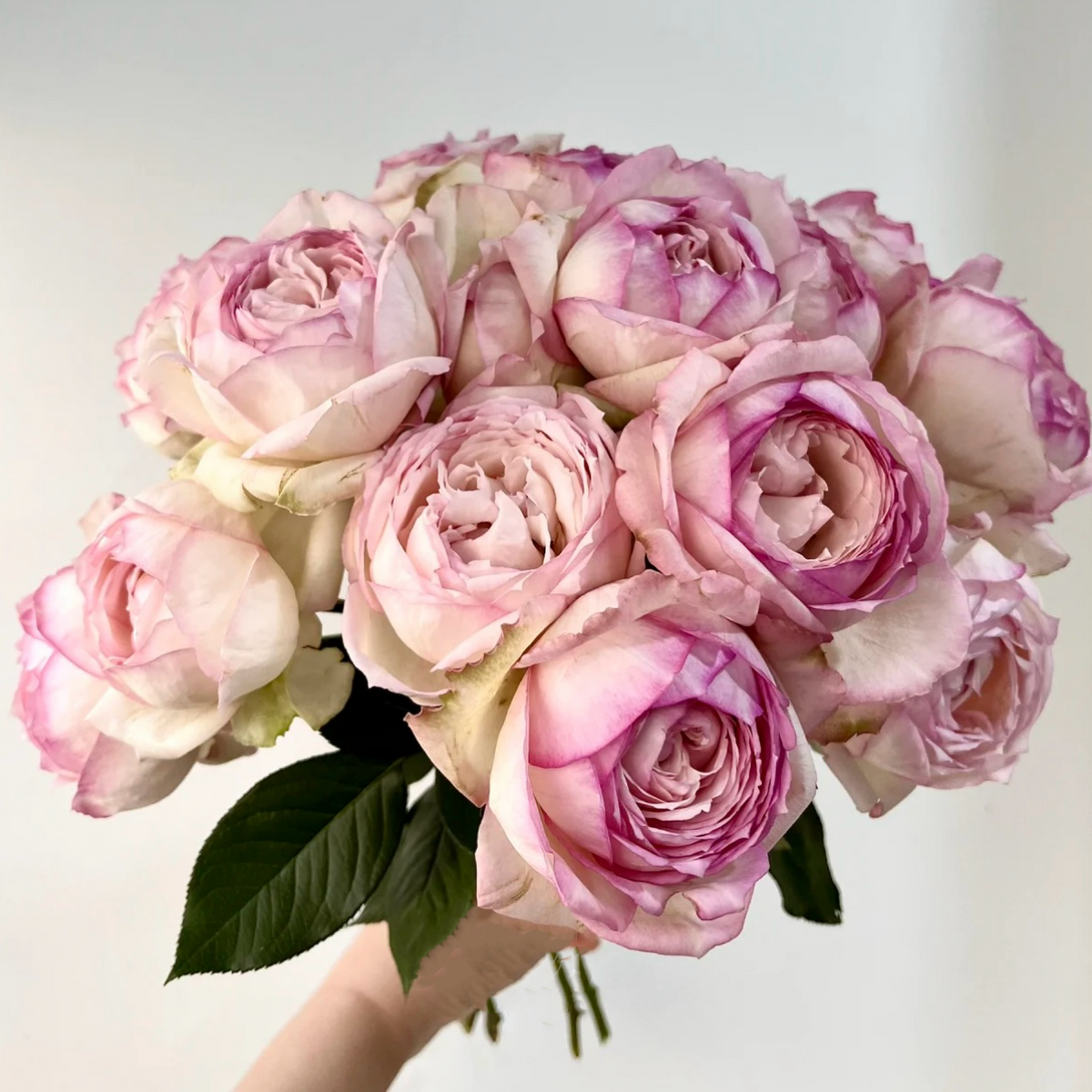 F91E9998-5123-479F-BCB7-