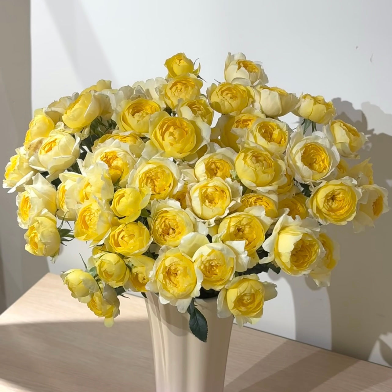 Juicy Lemon Rose