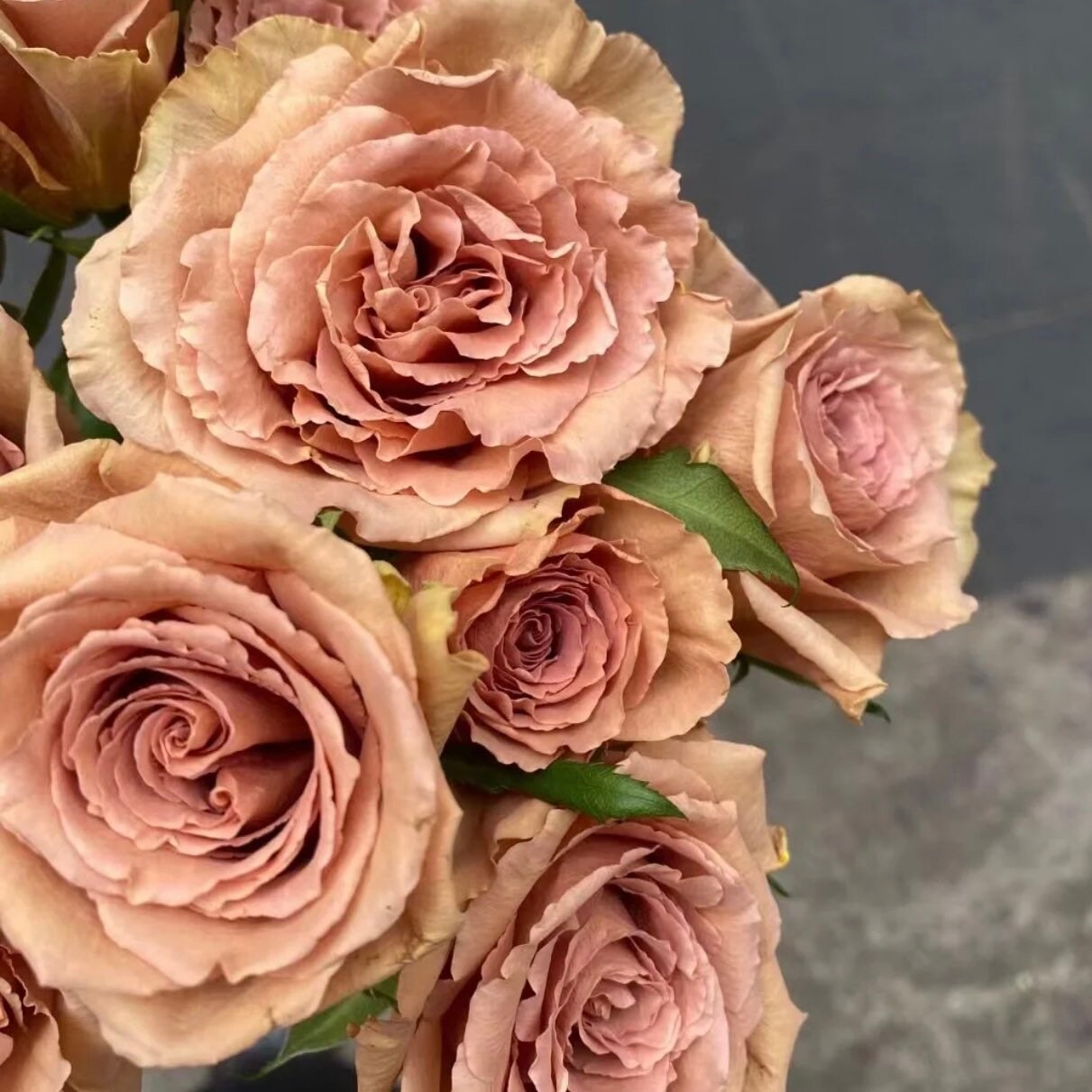 Brown Toffee rose bouquet highlighting its unique taupe and mocha hues.